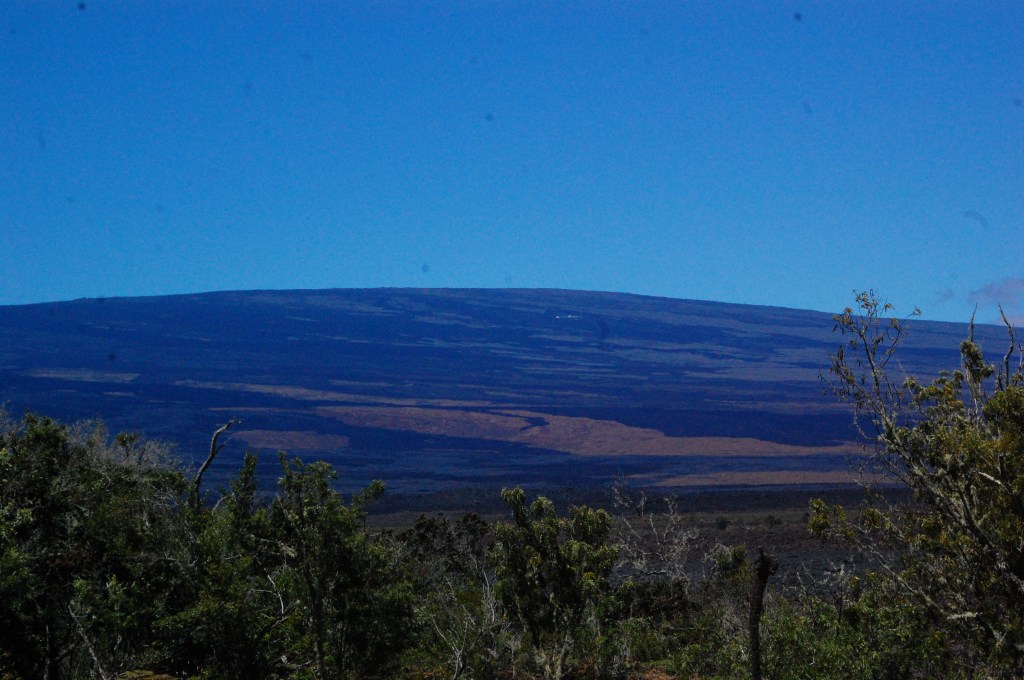 Mauna Loa (where some sheep live).