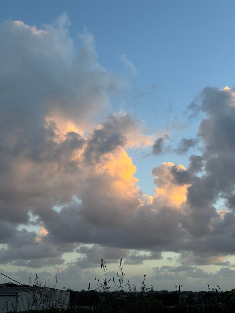Clouds in the sky with sunlight illuminating from behind and to the side.